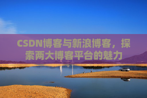 CSDN博客与新浪博客，探索两大博客平台的魅力